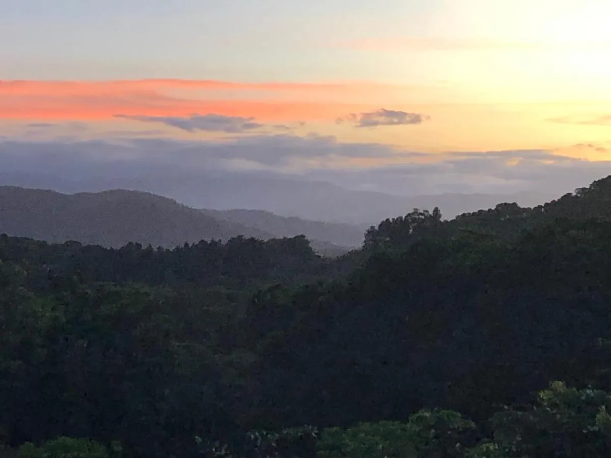 daintree valley cottage