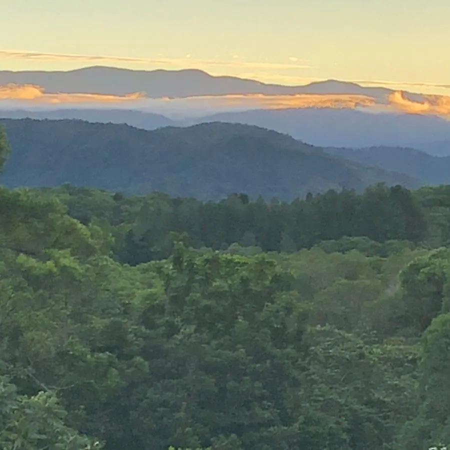 Casa vacanze daintree valley cottage Australia
